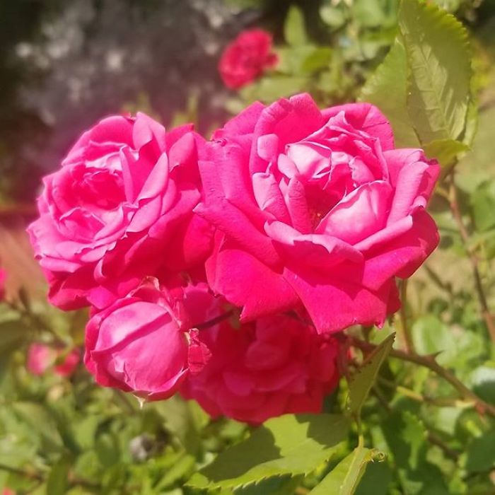 I'm A 16-Year-Old Photographer, And I View The World Through Photos