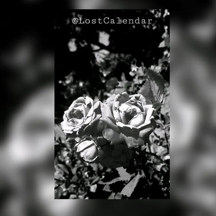 I'm A 16-Year-Old Photographer, And I View The World Through Photos