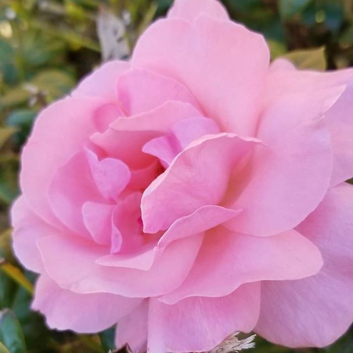 I'm A 16-Year-Old Photographer, And I View The World Through Photos