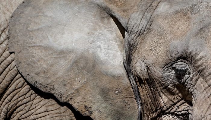 I Am A Wildlife Hunter, But My 'Gun' Is My Camera (19 Pics)