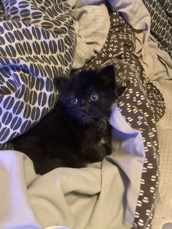 Hurry And Get In Bed With Me