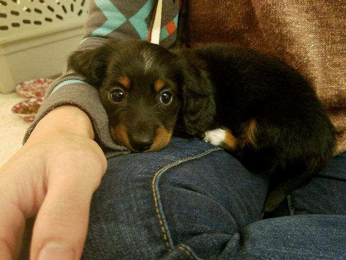 Smudge Was So Teeny As A Baby