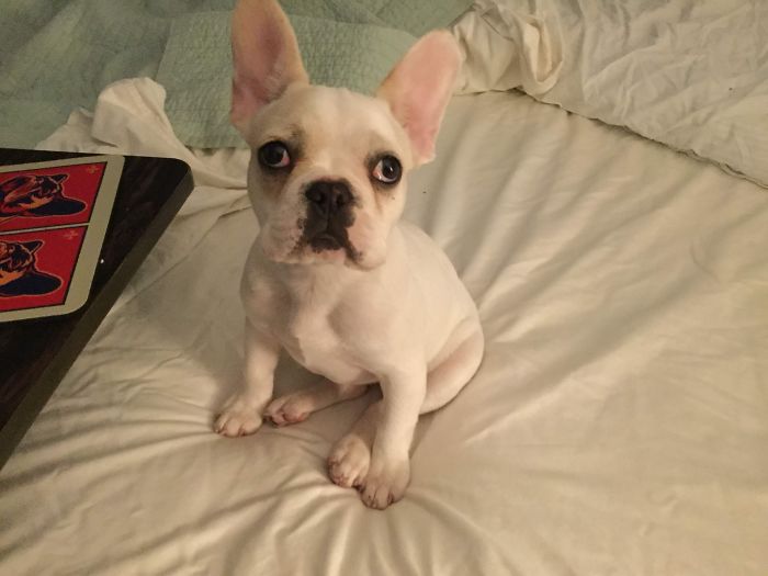 She’s Like A Marshmallow