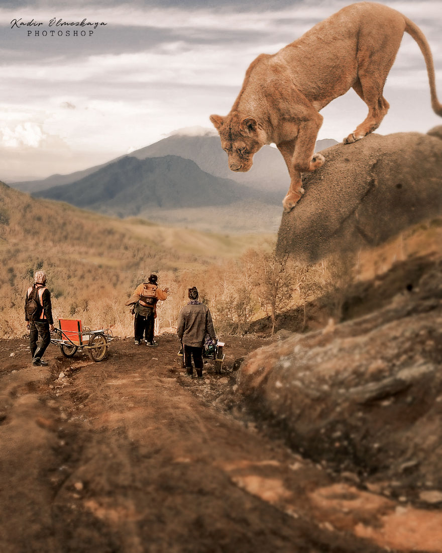 I Create These Photo Manipulations With Animals And Nature (10 Pics)