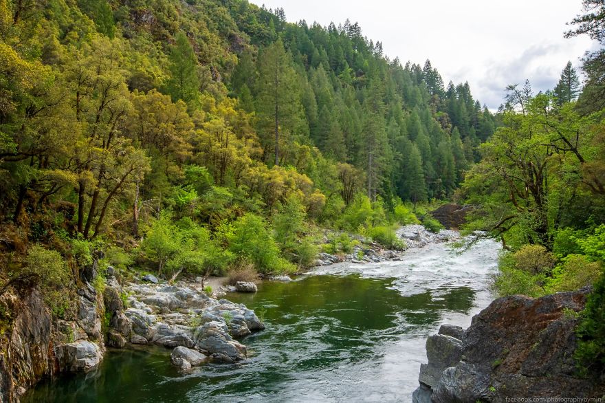 Here Are My 5 Nature Pics Here Are My 5 Nature Pics