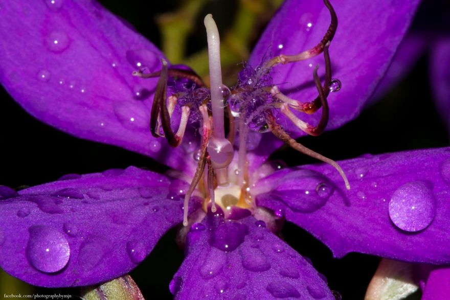 Here Are My 5 Nature Pics