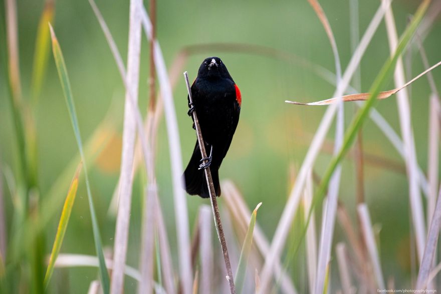 Here Are My 5 Nature Pics