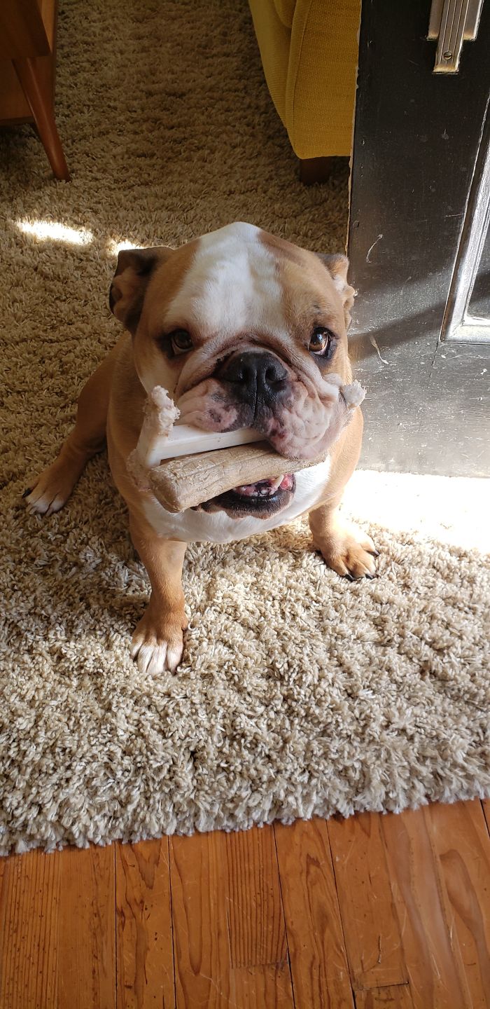 Arnold, The Most Handsome Boy!