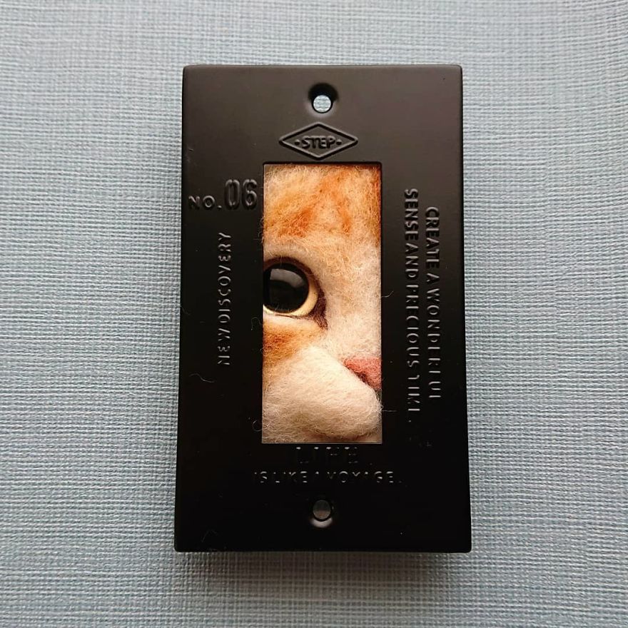 Artist Creates Realistic 3D Frames Of Cats And They Are Perfect!