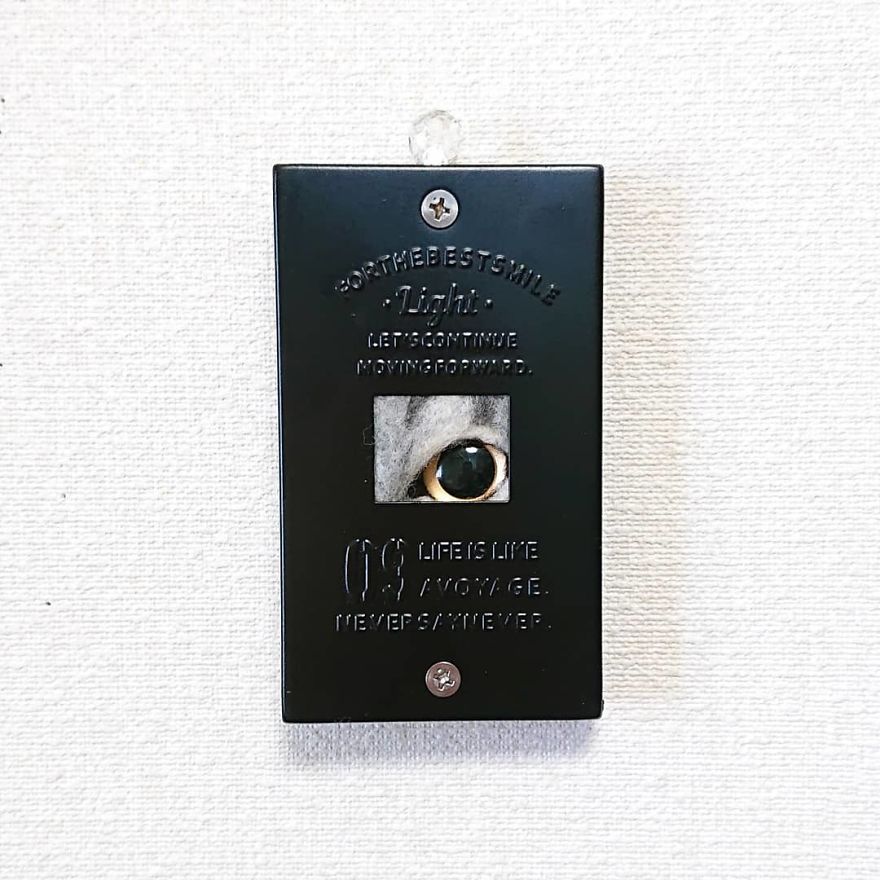 Artist Creates Realistic 3D Frames Of Cats And They Are Perfect!