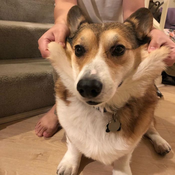 Please Let This Quarantine End So My Brother Can Pick On Someone Else