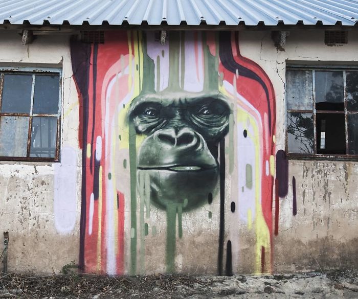Street-Art-Graffiti-Falko-Fantastic-South-Africa