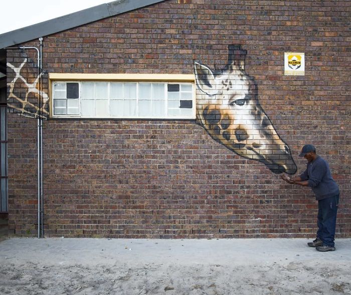 Street-Art-Graffiti-Falko-Fantastic-South-Africa