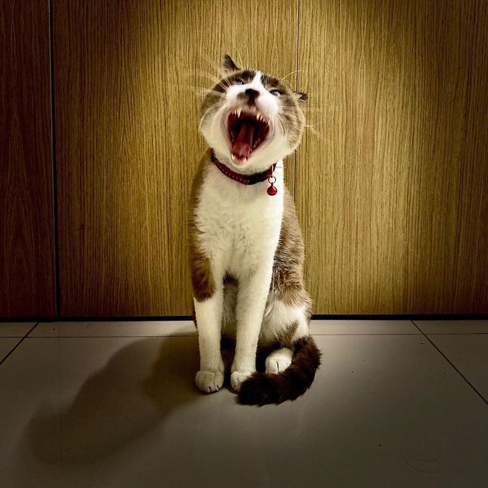 Sometimes I Can Be A Little Dramatic