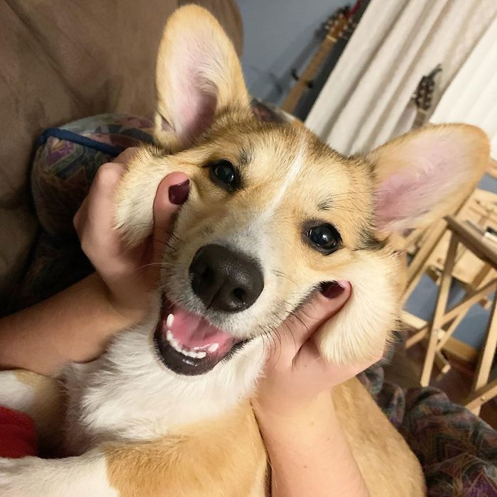 The Weekend Is Finally Here