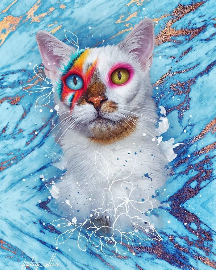 Bowie-The-Cat