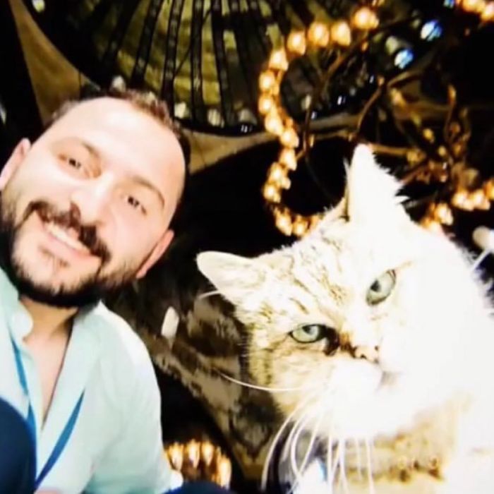 Hagia-Sophia-Cat