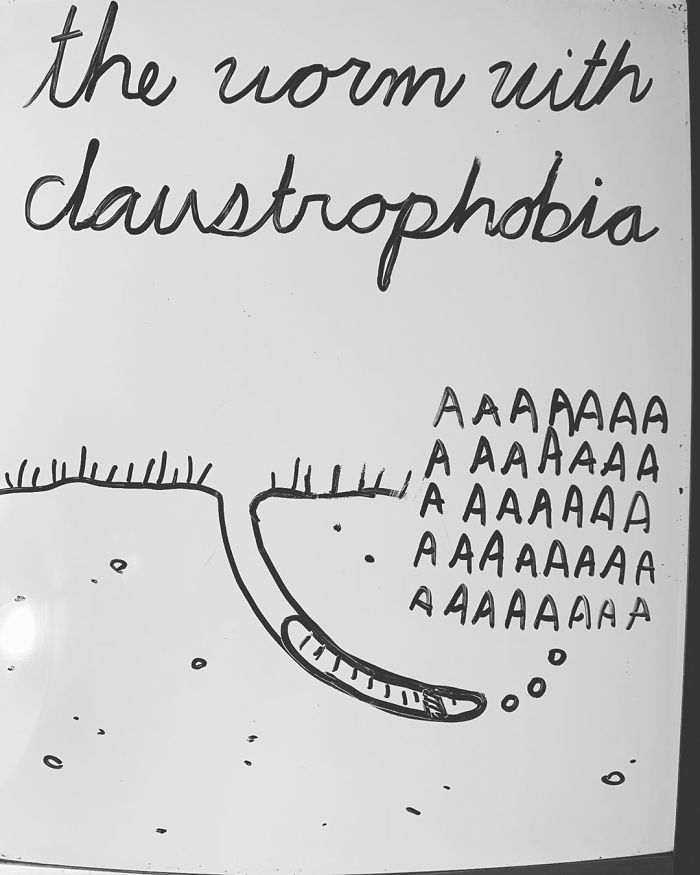 14-Year-Old-Draws-Comics-On-Whiteboard-Jakes-Door