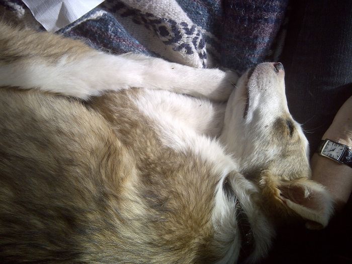 In My Sister’s Car On The Way Home From The Shelter 8 Years Ago!