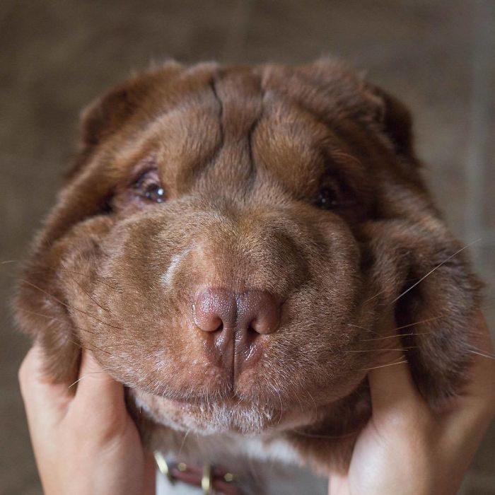 My Face When Grandma Comes Over