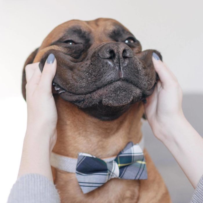 "If You Force Yourself To Smile, Within A Couple Of Minutes, You Feel Happy"