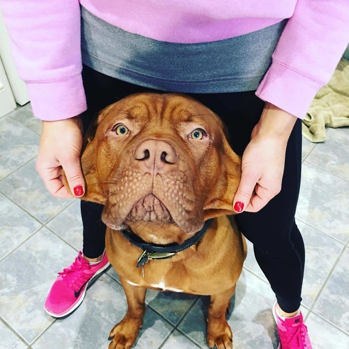 When You're Being Good Waiting For A Treat And Mum Tries To Break Your Concentration