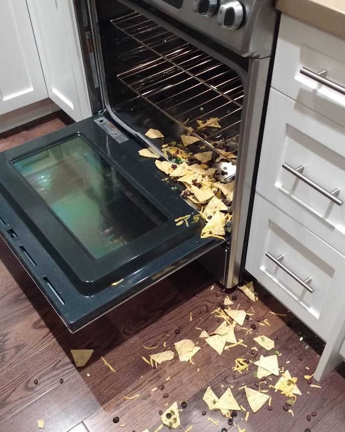 How To Not Make Nachos