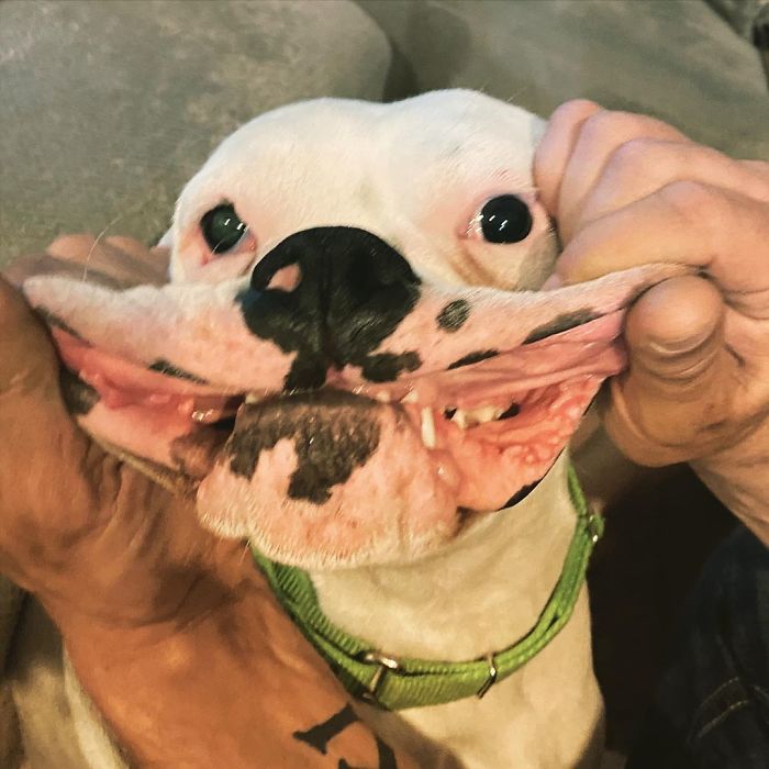 I’ve Got 99 Problems But My Lips Ain’t One