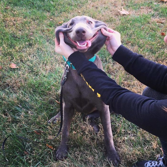 I Am Not Smooshy. I’m Cute And Stretchy