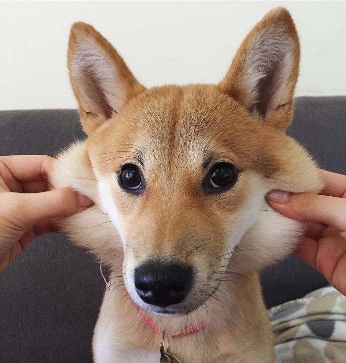 Evidently Not The Most Willing Participant Of This Photoshoot