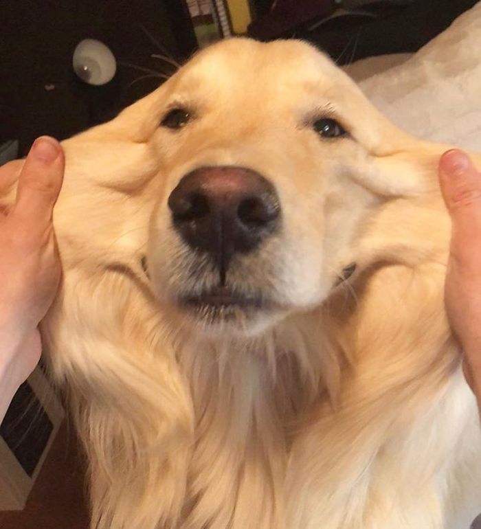 Still Growing Into My Face