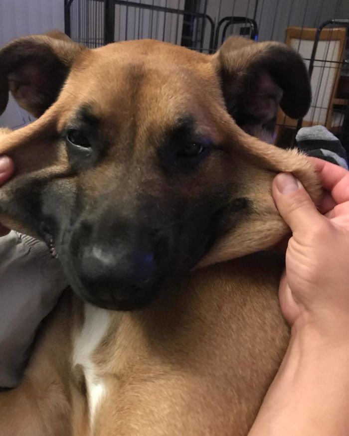 A Little Extra Skin For Backup