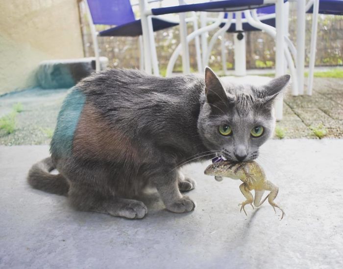 I Brought My Friend In The House The Other Day, Mom Was Mad