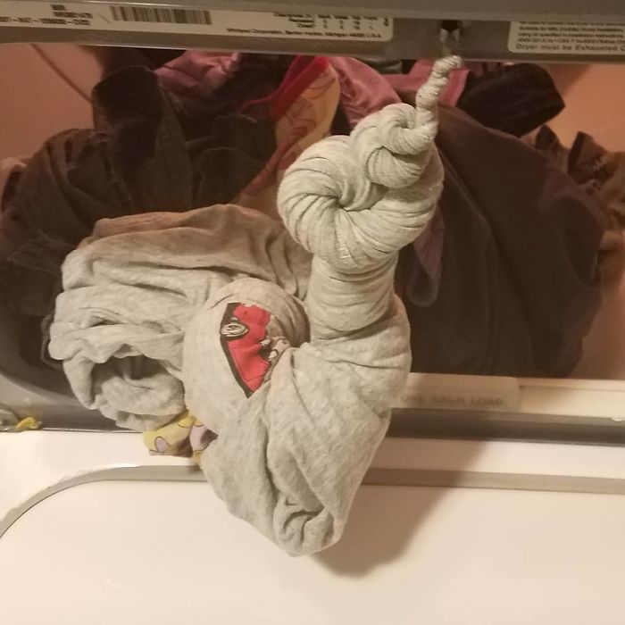 How's Your Day Going? My Shirt Got Stuck In The Laundry And That's A Pretty Accurate Representation Of The Trajectory Of My Day