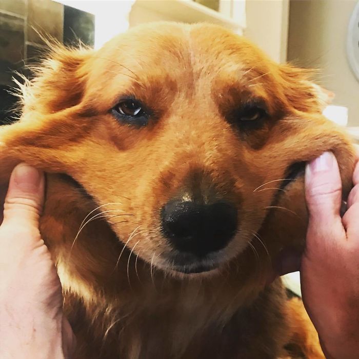 Why Dani Has Trust Issues