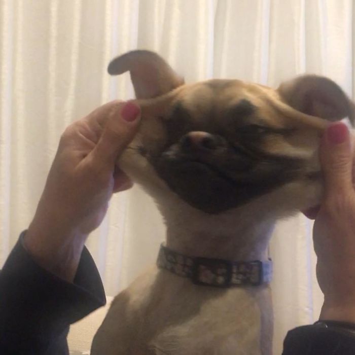 Just A Little Extra Skin