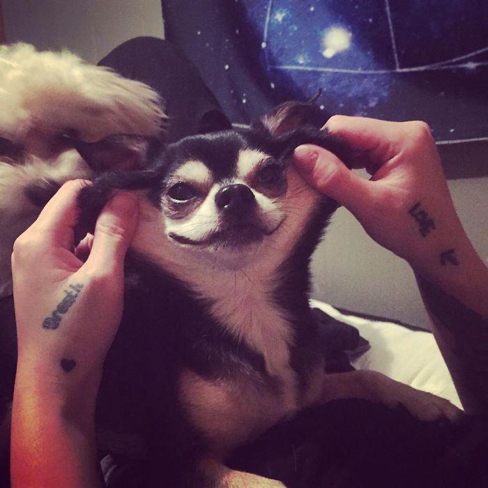 Bruno And His Smiles. Most Lovable Guy