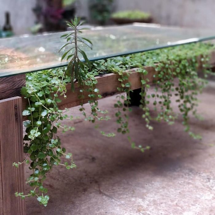 Succulent-Tables
