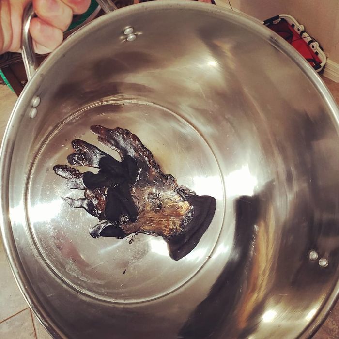 My Mom Accidently Cooked My Sister Farrah's Glove. This Is Where I Get My Cooking Skills