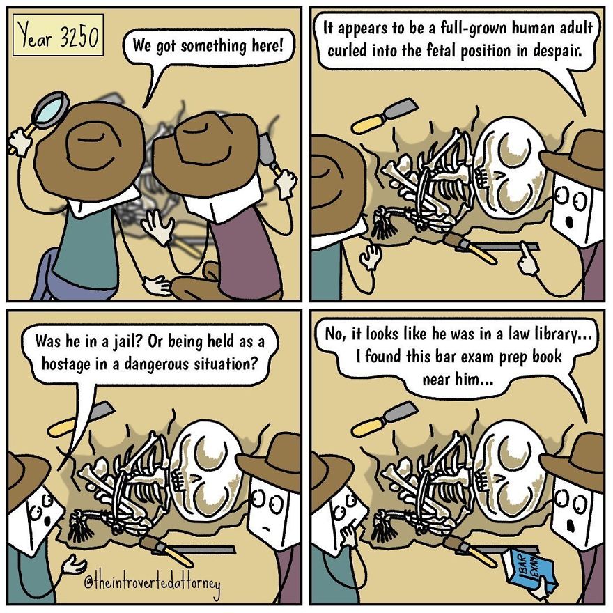 Funny-Comics-Curmudgeonly-Lawyer-The-Introverted-Attorney