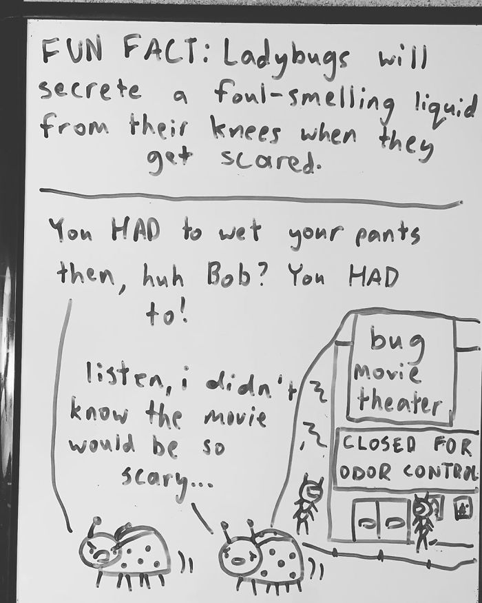 14-Year-Old-Draws-Comics-On-Whiteboard-Jakes-Door
