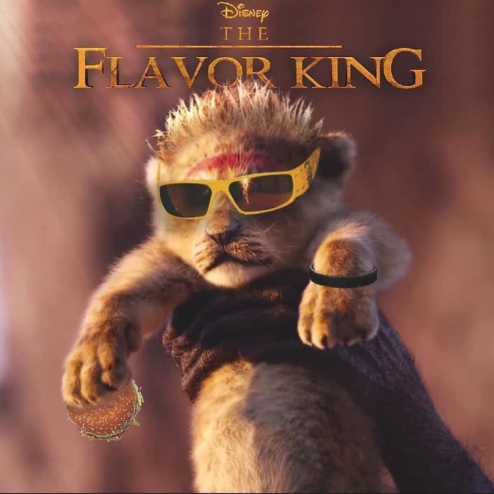 The Circle Of Life Is Out Of Bounds 