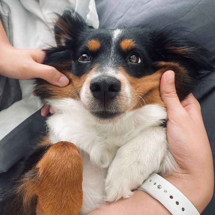 "Lately, Momma Has Been Obsessed With My Stretchy Cheeks. I Know I’m Cute, But Seriously This Lady"