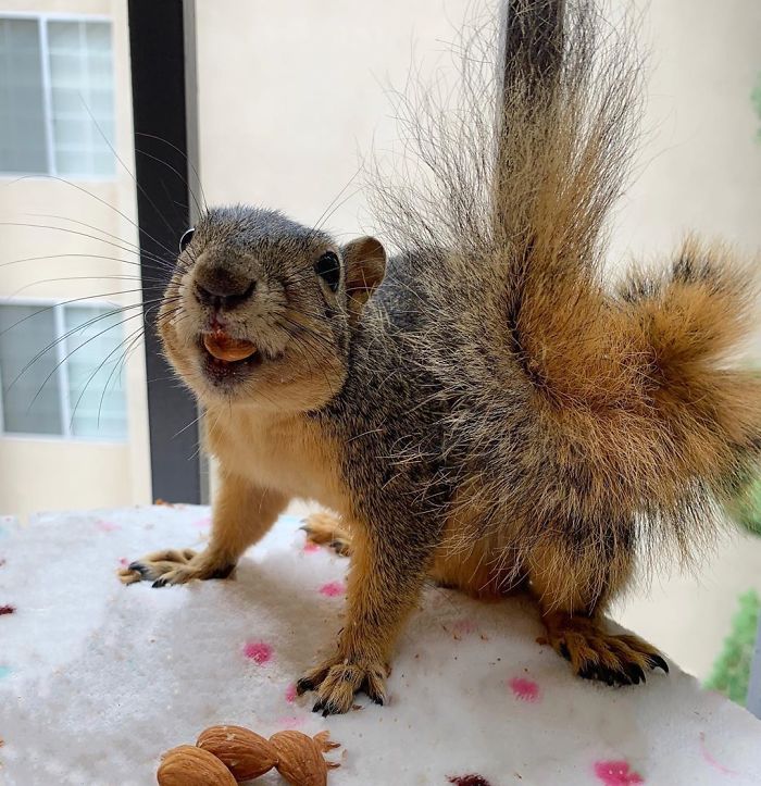 Bart, Where Are You? Oh There You Are!