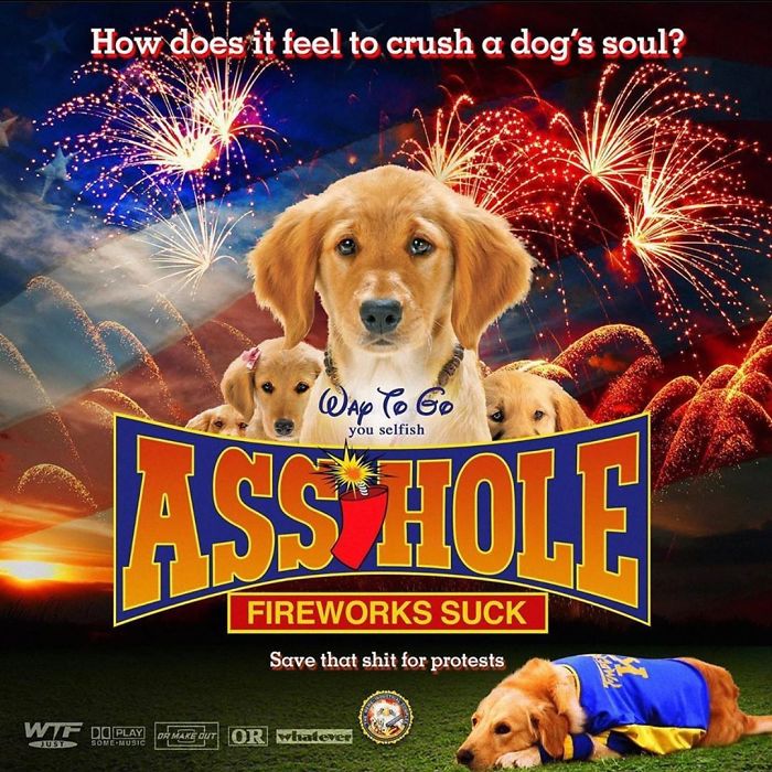 My Labradoodle Is Getting Vietnam Flashbacks