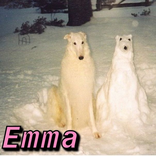 Instagram-Meme-Dog-Photos-Based-On-Names-Whatdogyouare