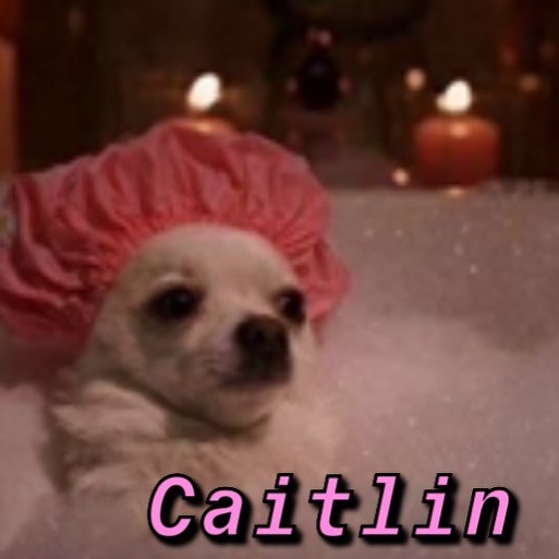 Instagram-Meme-Dog-Photos-Based-On-Names-Whatdogyouare