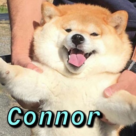 Instagram-Meme-Dog-Photos-Based-On-Names-Whatdogyouare