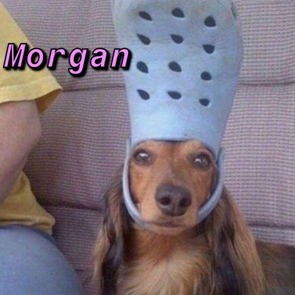 Instagram-Meme-Dog-Photos-Based-On-Names-Whatdogyouare