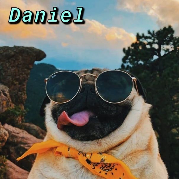 Instagram-Meme-Dog-Photos-Based-On-Names-Whatdogyouare